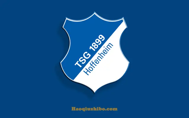 尼克斯主教练敲定